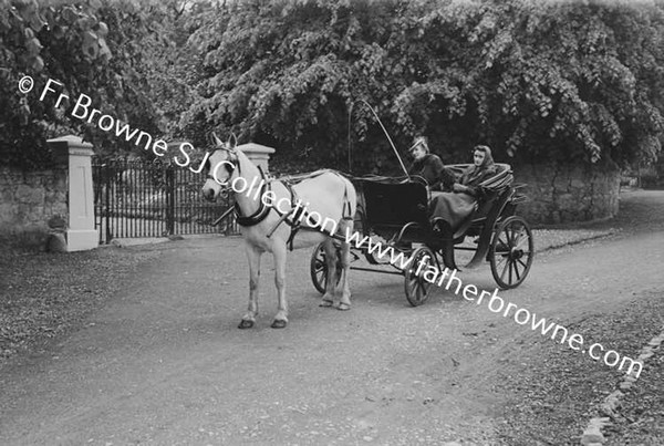 MRS FRANK LILLIS WITH MARY IN PHAETON